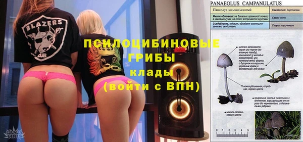 твердый Алексеевка