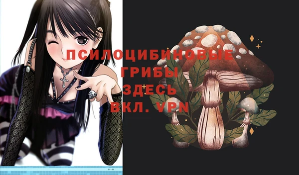 синтетический гашиш Алексин